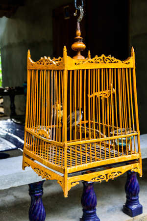Bird cageの写真素材
