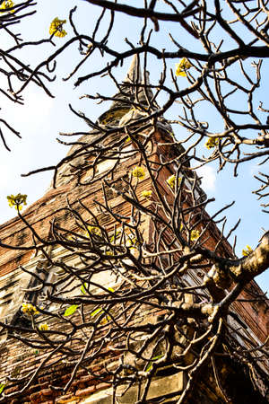 Pagoda