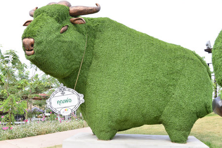 cow in treeの写真素材