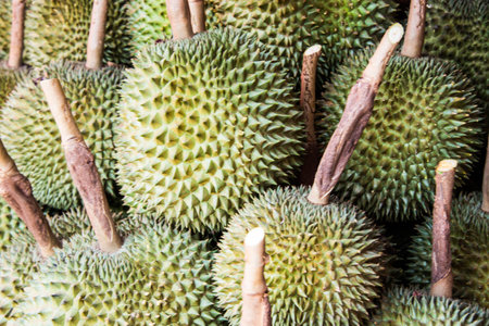 Fruit Thailand 