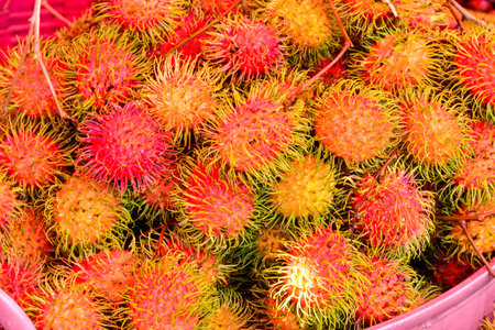 Fruit Thailandの写真素材