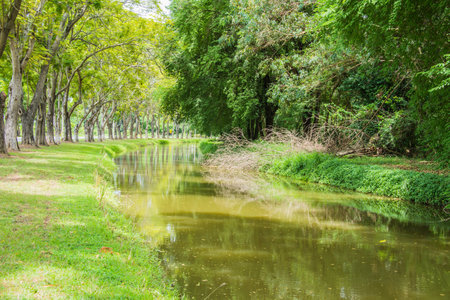 water and treesの写真素材