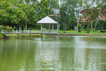 water and treesの写真素材