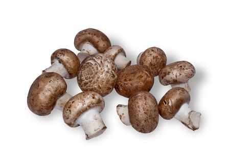 Mushrooms champignons on a white backgroundの写真素材