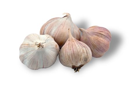 heads of the garlic on white backgroundの写真素材