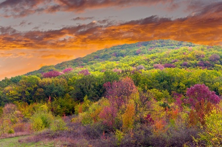 the mountain autumn landscape with colorful forestの写真素材