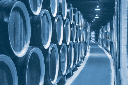 Wine barrels stacked in the old cellar of the winery
