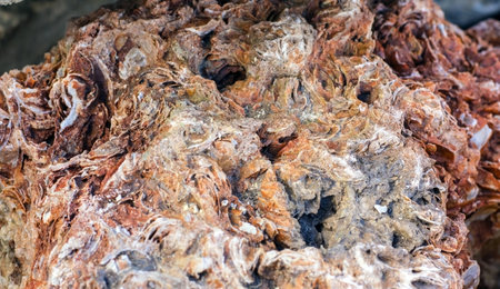 The close-up relief of the rocksの写真素材