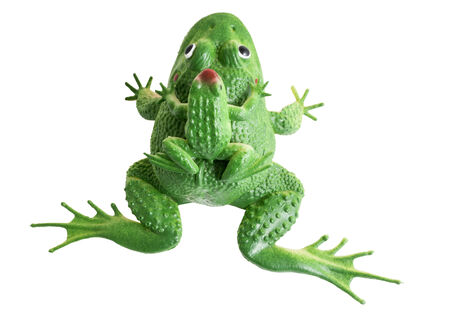 children toy the frog and the little frogの写真素材