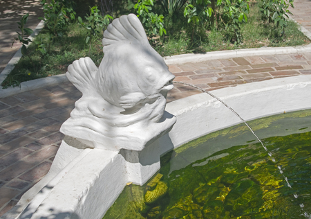 Classic stone fountain basin and  figurine statuette fishの写真素材