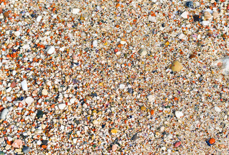 Small rocky cover the sea coast. Texture, backgroundの写真素材