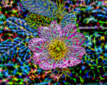 abstract Beautiful forest flower with pink petalsの写真素材