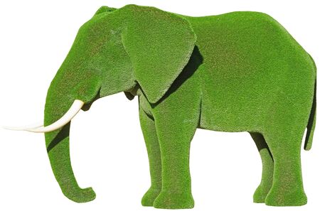 figure of a elephant made from decorative grass on white backgroundの写真素材
