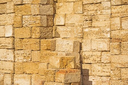 Background with stones from shell rock material close-up