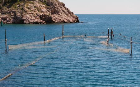 Fishing trap equipment with fishing networks in blue sea watersの写真素材