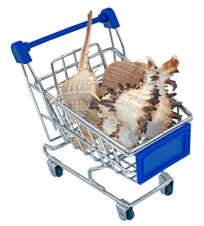 Shopping cartand sea shells isolated on white backgroundの写真素材