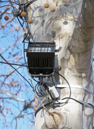 Close up outdoor LED lamp on the tree