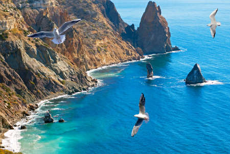 Beautiful summer rocky coast of Black seaの写真素材