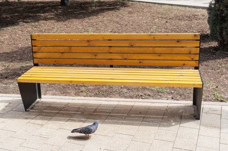 Wooden bench in the city parkの写真素材