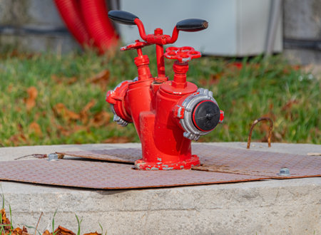 Bright red fire hydrant in a city parkの写真素材