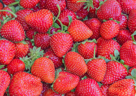the background from freshly harvested strawberries