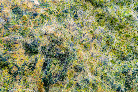 Natural Surface texture of serpentinite mined in the Ural mountainsの写真素材