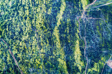 Natural Surface texture of serpentinite mined in the Ural mountains