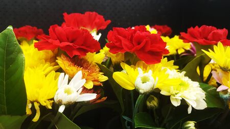 the fresh flowers.の写真素材