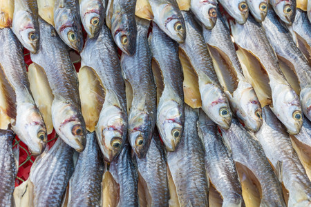Sun dried salty fish. Stock-fish .の写真素材