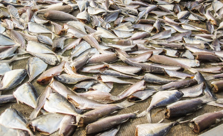 Close up of group of salty dried fish .の写真素材