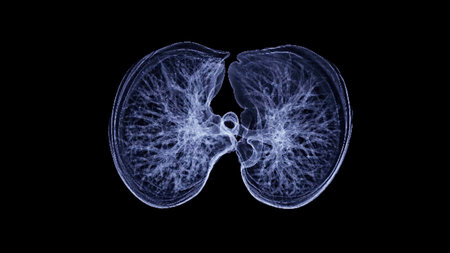 CT Chest or CT lung 3d rendering image with blue color showing Trachea and lung in respiratory system.の写真素材