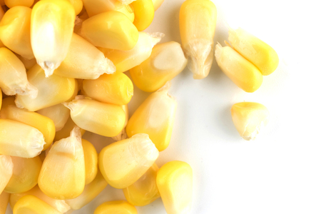 Corn isolated on a white background raw food