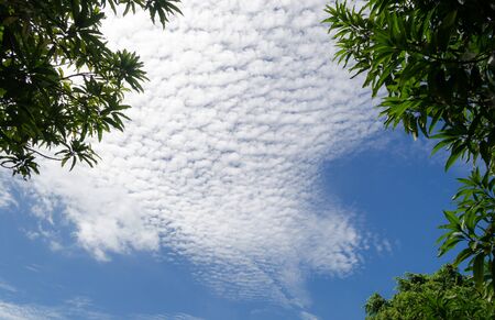 blue sky with clouds ozone air beautiful  backgroundの写真素材