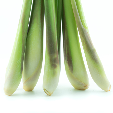 Fresh Lemongrass close up macro food backgroundの写真素材