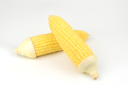 Corn isolated on a white background raw foodの写真素材