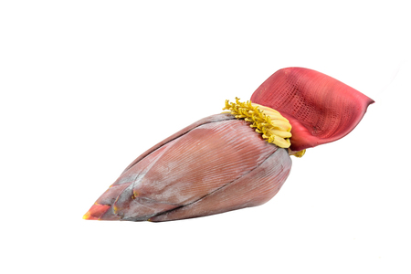 Banana blossom isolated on white backgroundの写真素材