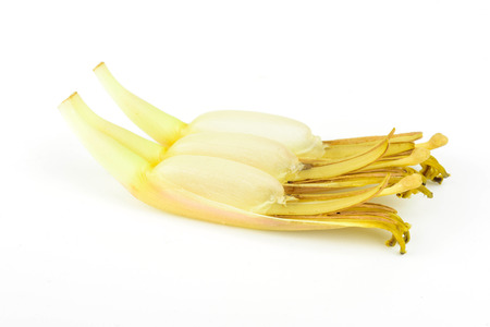 Banana blossom isolated on white backgroundの写真素材