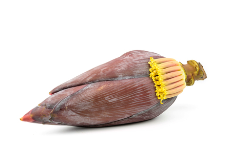 Banana blossom isolated on white background with clipping pathの写真素材