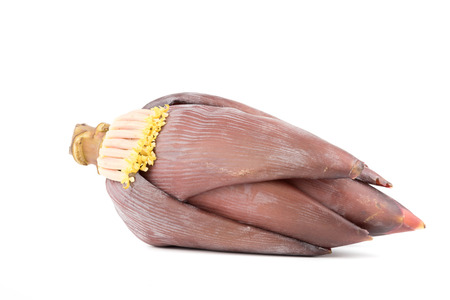 Banana blossom isolated on white backgroundの写真素材