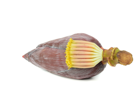 Banana blossom isolated on white backgroundの写真素材