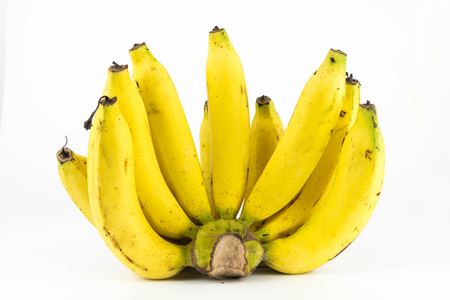 Cavendish bananas isolated on white backgroundの写真素材