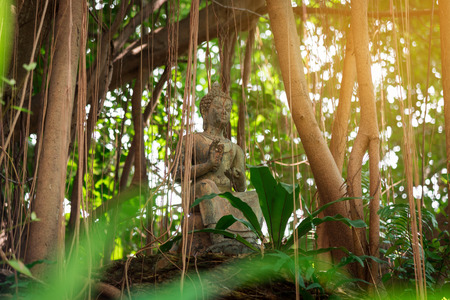 buddha statueの写真素材