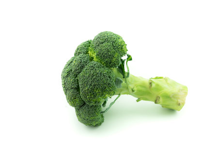 Fresh broccoli isolated on white backgroundの写真素材