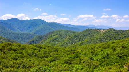 Hills and forests seen from above.の写真素材