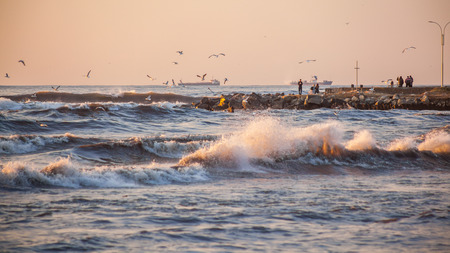 storm, gulls on the coast of the Black Sea, the river Rioni, Poti, Georgia.