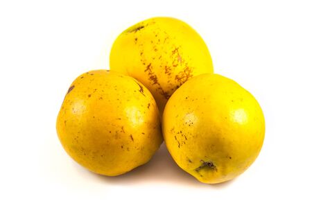 Ripe quinces isolated on white.の写真素材
