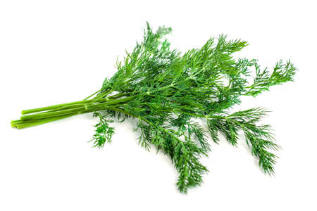 bunch fresh, green dill on a white background.の写真素材