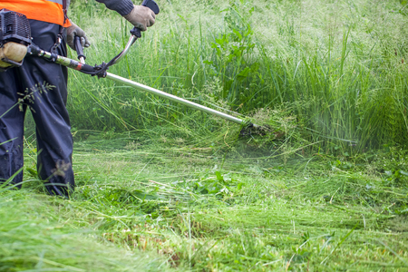 The gardener cutting grass by lawn mower.の写真素材