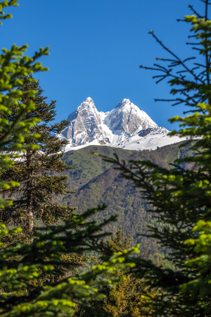 Peak of mount Ushba in Caucasus Mountains, Svanetia region in Georgia, 4700 m.の写真素材