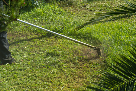 The gardener cutting grass by lawn mower.